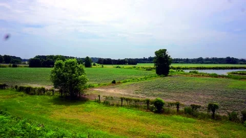 Field  with green grass trees and a lake with a blue cloudy sky. Stock Footage 245501034
