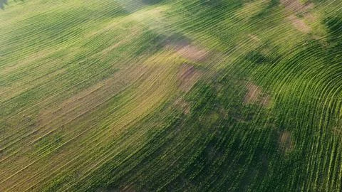 Field of Green Stock Photos