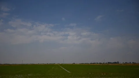 Field of green rise and cloudy sky Stock Footage 90356743