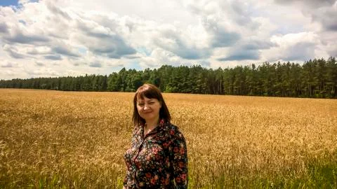 Field of growing bread Stock Photos
