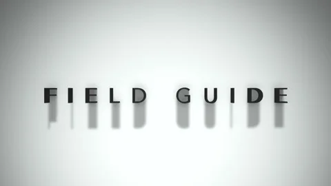 Field Guide 3D title animation matte black text on a white background Stock Footage 300717155
