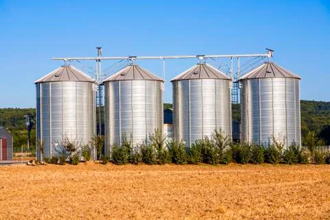 Field in harvest with silo Stock Photos