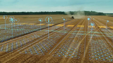 Field Harvester Graphics Analysis 스톡 동영상 145691065