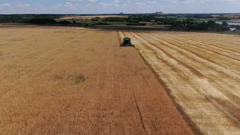 Field harvesting Stock Footage 137503307