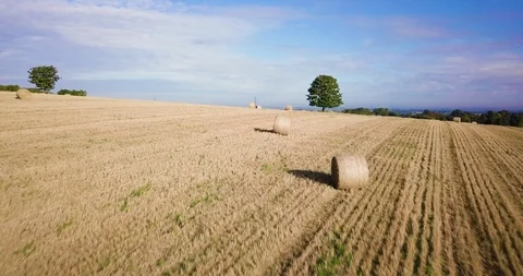 Field of hay bales Stock Footage 91474624