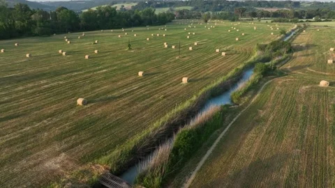 Field with hay bales Stock Footage 197518681