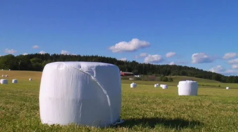 Field with hay balls Stock Footage 373221