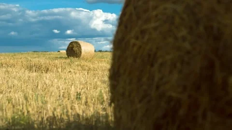 Field With Hay Stock Footage 67457210
