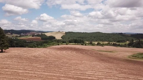 Field of hay Stock Footage 95652731