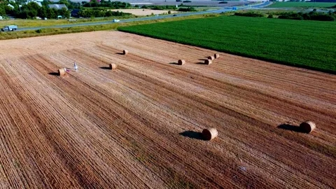 Field with hay Stock Footage 202282136