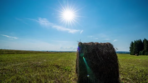 A field with hay hundreds Summer evening at sunset. The field after harvesting Stock Footage 235630587