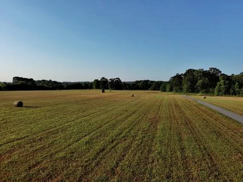 Field of hay rolls Stock Photos