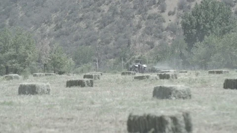 FIELD OF HAY WITH TRACTOR IN THE BACK FARM GREEN MOUNTAINS 4K Stock Footage 100774481