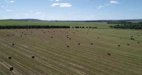 Field with haystacks and tractor backward Stock Footage 102286174