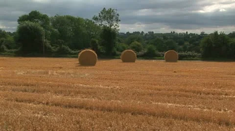 Field with haystacks Stock Footage 20487941