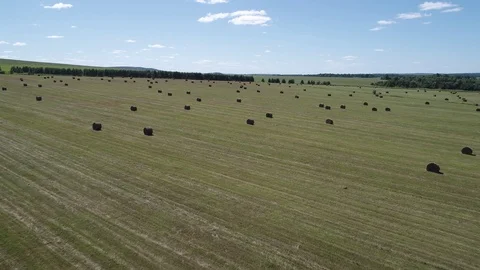 Field with haystacks forward 16-9 動画素材 102286027