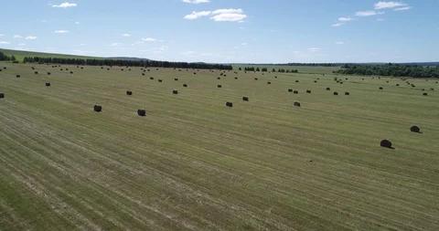 Field with haystacks forward Stock Footage 102286034