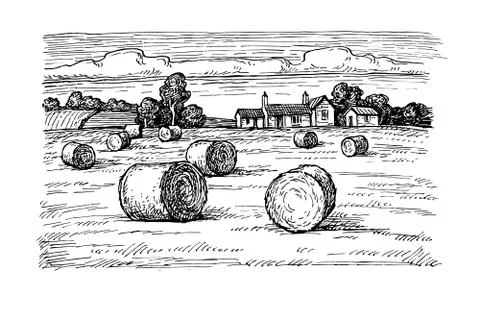 Field with haystacks Stock-Illustration