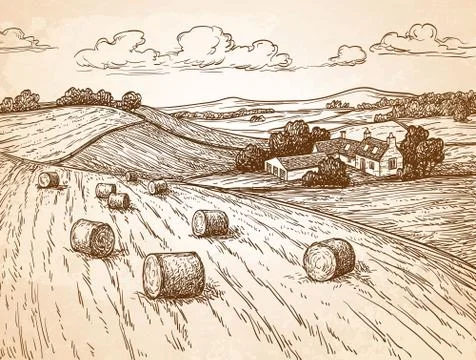 Field with haystacks. イラスト素材