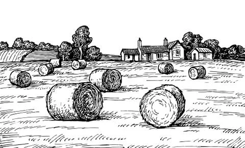 Field with haystacks. イラスト素材