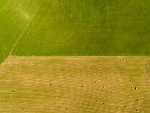 Field with haystacks Stock Photos