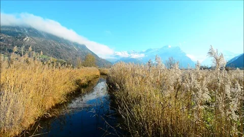Field with high ears. Stock Footage 82459936