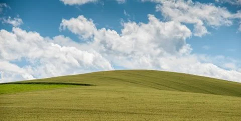 Field on hill Foto stock