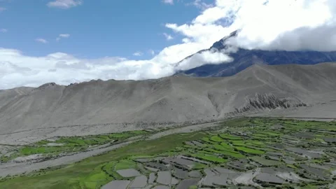 Field In Himalayas Stockbeeldmateriaal 170356272