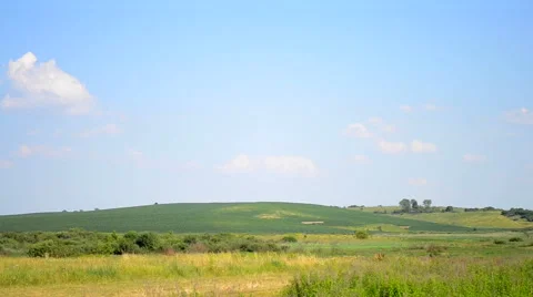 Field on a hot summer day Stock Footage 65957372
