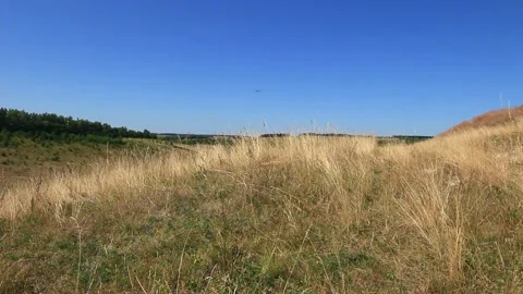  Field on a hot summer day Stock Footage 158012216