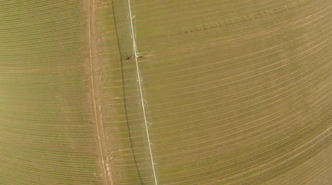 Field irrigated by a pivot sprinkler system, aerial shoot Stock-Footage 44059014
