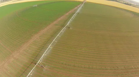 Field irrigated by a pivot sprinkler system Video stock 44059434