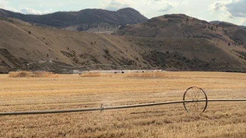 Field irrigation. Automatic field irrigation in Canada. drought. 库存影片 341848746