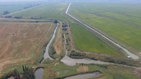 Field irrigation canals Video stock 142685947