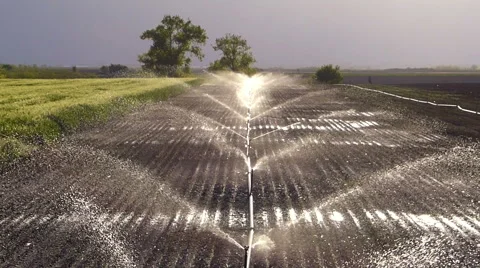 Field irrigation Stock Footage 50075148