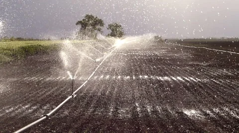 Field irrigation Stock Footage 50075287
