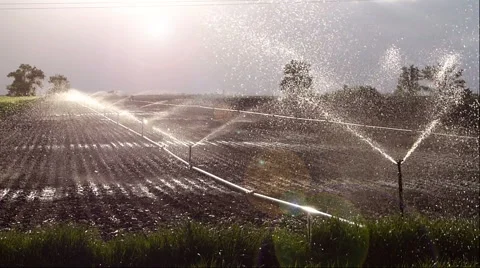 Field irrigation Stock Footage 50075863