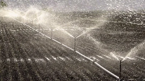 Field irrigation Stock Footage 50076783