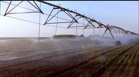 Field irrigation. Stock Footage 50324900