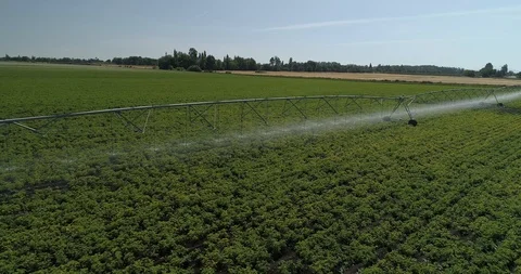 Field irrigation Stock Footage 124853049
