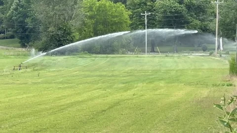 Field irrigation Video stock 279189743