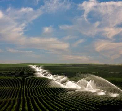 Field irrigation Stock Photos
