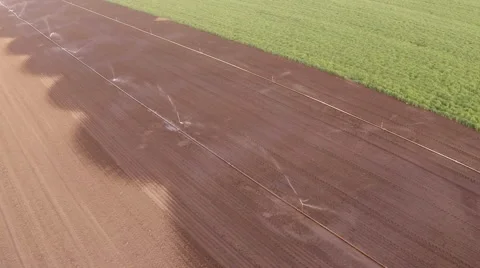 Field irrigation in spring Stock Footage 49542684