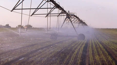 Field irrigation in spring Stock Footage 50291968