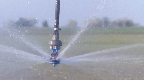 Field irrigation in spring Stock Footage 50292365