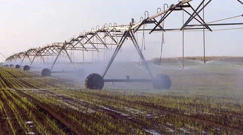 Field irrigation in spring Stock Footage 50293040