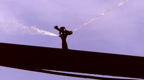 Field irrigation in spring Stock Footage 50323938