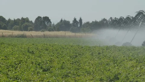 Field Irrigation system 4k slowmotion Stock Footage 125054440
