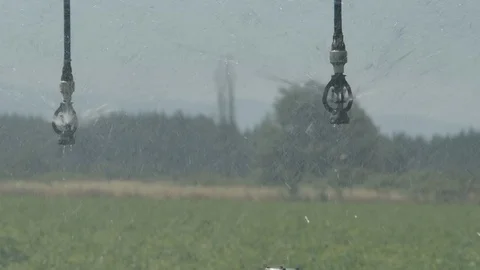 Field Irrigation system 4k slowmotion Stock Footage 125054561