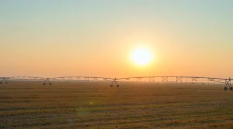 Field with irrigation system at sunset Foto stock